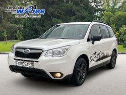 Weiß Gebraucht 2015 Subaru Forester Active SUV | 10.100 € (Etwas zu teuer)