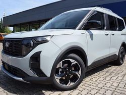 Cactus grey Neu 2025 Ford Tourneo Courier Active Van / Kleinbus | 25.990 € (Fairer Preis)