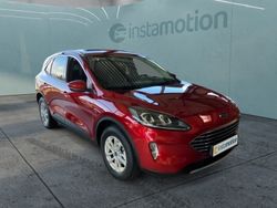 Rot Gebraucht 2023 Ford Kuga Titanium SUV | 29.950 € (Fairer Preis)