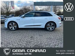 Weiß Gebraucht 2019 Audi e-tron Advanced SUV | 39.789 € (Teuer)