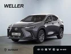 Grau Neu 2024 Lexus NX350h Executive Line SUV | 58.975 € (Guter Preis)