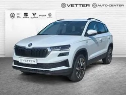 Weiß Neu 2025 Skoda Karoq Tour SUV | 40.749 € (Etwas zu teuer)