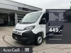 Weiss ducato weiss Neu 2025 Fiat Ducato 33 Van | 35.921 € (Fairer Preis)