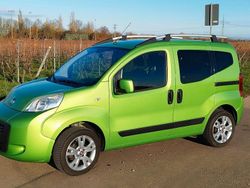 Grün Gebraucht 2014 Fiat Qubo My Qubo Van / Kleinbus | 7.499 € (Etwas zu teuer)
