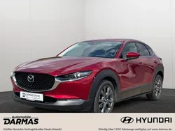 Rot Gebraucht 2021 Mazda CX-30 Selection SUV | 23.490 € (Superpreis)