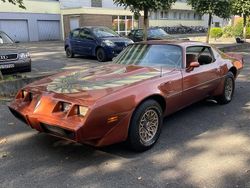 Braun Gebraucht 1980 Pontiac Trans Am Coupé | 20.000 €
