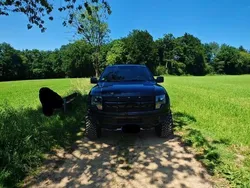 Schwarz Gebraucht 2013 Ford F-150 Raptor Abholung | 55.000 €