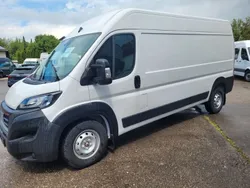 Weiß Gebraucht 2023 Fiat Ducato Van | 31.990 € (Fairer Preis)