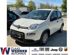 Weiss) (weiss Gebraucht 2023 Fiat Panda Kleinwagen | 11.990 € (Fairer Preis)