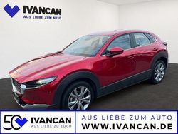 Soul red crystal m Gebraucht 2024 Mazda CX-30 SUV | 31.990 € (Etwas zu teuer)
