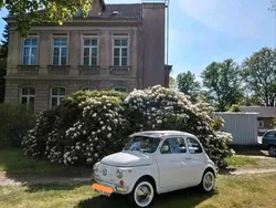 Weiß Gebraucht 1970 Fiat 500 Kleinwagen | 12.999 €