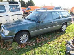 Grün Gebraucht 1993 Mercedes 220 Limousine | 6.500 €