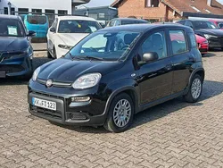 Schwarz Gebraucht 2024 Fiat Panda Kleinwagen | 13.990 € (Fairer Preis)