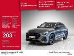 Daytonagrau perleffekt Gebraucht 2021 Audi e-tron S-Line SUV | 34.920 € (Etwas zu teuer)