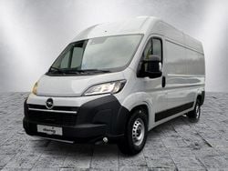 Grau Gebraucht 2024 Opel Movano Van | 32.650 € (Superpreis)