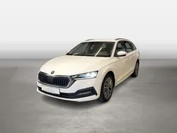 Candy weiss Gebraucht 2023 Skoda Octavia Ambition Kombi | 21.128 € (Fairer Preis)