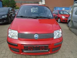 Rot Gebraucht 2007 Fiat Panda Kleinwagen | 1.450 € (Fairer Preis)