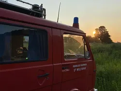 Rot Gebraucht 1981 VW LT Van / Kleinbus | 11.750 €