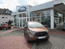 Braun Gebraucht 2018 Ford Ecosport ST-Line SUV | 12.900 € (Etwas zu teuer)