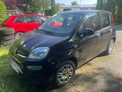 Schwarz Gebraucht 2019 Fiat Panda Easy Kleinwagen | 8.000 € (Fairer Preis)