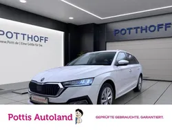 Weiss Gebraucht 2023 Skoda Octavia Style Kombi | 24.221 € (Guter Preis)