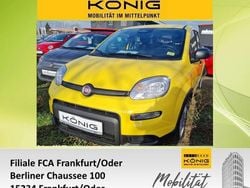 Gelb Gebraucht 2024 Fiat Panda Kleinwagen | 14.289 € (Fairer Preis)