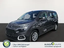 Platingrau Gebraucht 2019 Citroën Berlingo Live Van / Kleinbus | 19.990 €