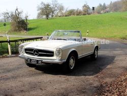 Weiß Gebraucht 1967 Mercedes 250 Cabrio | 109.950 €