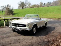 Weiß Gebraucht 1967 Mercedes 250 Cabrio | 109.950 €
