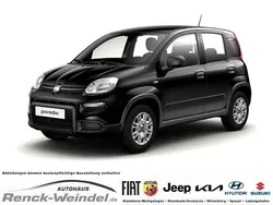 Orange Gebraucht 2020 Fiat Panda Urban Kleinwagen | 16.459 €