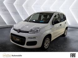 Weiss Gebraucht 2019 Fiat Panda Easy Kleinwagen | 9.885 € (Etwas zu teuer)