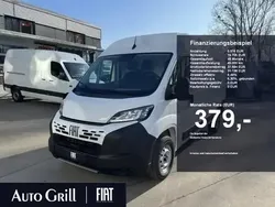 Weiss ducato weiss Neu 2025 Fiat Ducato Van | 30.680 € (Guter Preis)