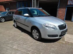 Silber Gebraucht 2009 Skoda Fabia Ambiente Kombi | 2.990 € (Teuer)