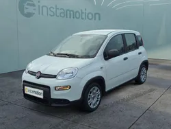 Weiß Neu 2024 Fiat Panda Kleinwagen | 12.499 €