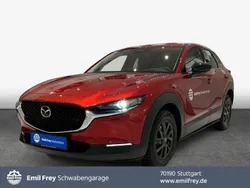 Rot Gebraucht 2024 Mazda CX-30 Homura-Line SUV | 27.990 € (Superpreis)