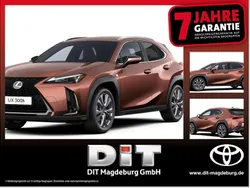 Flammblau Neu 2025 Lexus UX 300h Sport Design Packet SUV | 39.490 € (Fairer Preis)