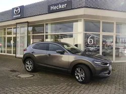 Grau Neu 2025 Mazda CX-30 Takumi-Line SUV | 36.800 €