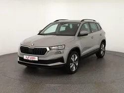 Grau Gebraucht 2022 Skoda Karoq SUV | 29.990 € (Fairer Preis)