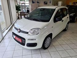 Weiß Gebraucht 2025 Fiat Panda Kleinwagen | 14.450 € (Fairer Preis)