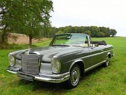 Grau Gebraucht 1963 Mercedes 220 SE Cabrio | 126.000 €