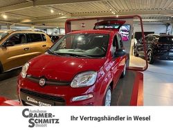 Rot Neu 2025 Fiat Panda Kleinwagen | 16.990 € (Etwas zu teuer)