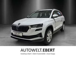 Moonweiß perleffekt Gebraucht 2025 Skoda Karoq Selection SUV | 38.290 € (Teuer)