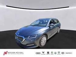 Grau Gebraucht 2021 Skoda Octavia Ambition Kombi | 18.930 € (Fairer Preis)