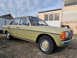 Grün Gebraucht 1981 Mercedes 240 Limousine | 5.900 €