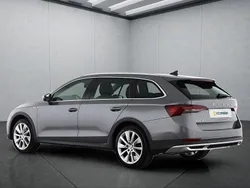 Grau Gebraucht 2023 Skoda Octavia Scout Kombi | 32.649 € (Etwas zu teuer)