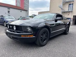 Schwarz Gebraucht 2004 Ford Mustang Coupé | 9.950 € (Superpreis)