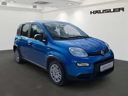 Blau Gebraucht 2024 Fiat Panda Kleinwagen | 13.990 € (Fairer Preis)
