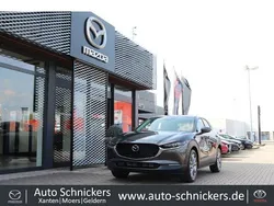 Grau Gebraucht 2022 Mazda CX-30 Selection SUV | 22.990 € (Fairer Preis)