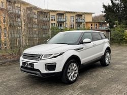 Weiß Gebraucht 2016 Land Rover Range Rover evoque SE SUV | 14.999 € (Fairer Preis)
