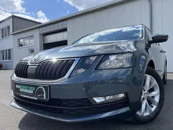 Grau Gebraucht 2020 Skoda Octavia Tour Kombi | 16.460 € (Guter Preis)